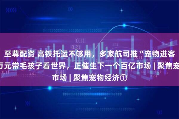 至尊配资 高铁托运不够用，多家航司推“宠物进客舱” 花2万元带毛孩子看世界，正催生下一个百亿市场 | 聚焦宠物经济①